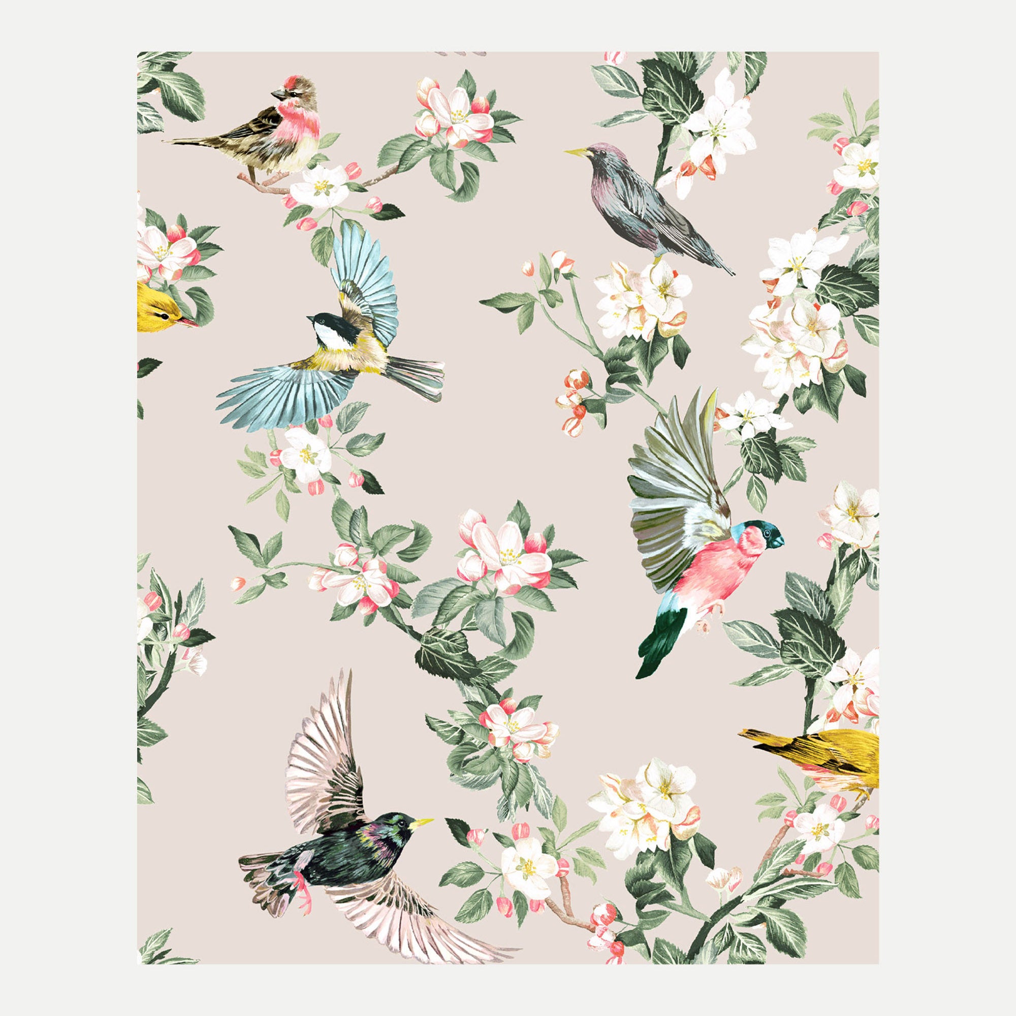 Graham & Brown Handford Garden Birds Wallpaper - 2Modern