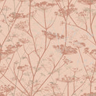 Wild Chervil Wallpaper Sample Swatch