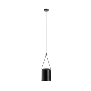 Attic Pendant Light