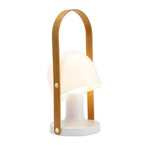 FollowMe Plus Indoor/Outdoor Portable Lamp