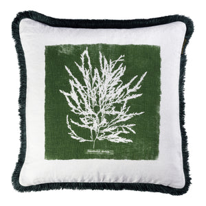 Algae I Pillow