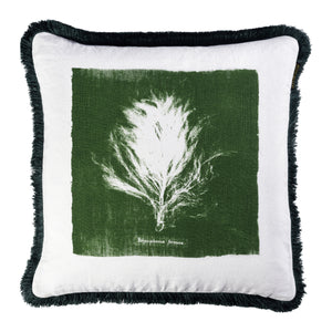 Algae II Pillow