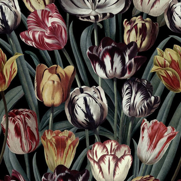 Tulipa Wallpaper Sample Swatch