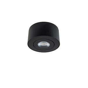 I Spy LED Outdoor Flush Mount