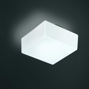 Matrix Wall or Ceiling Light