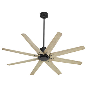 Fleet Ceiling Fan