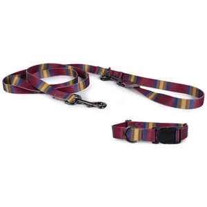 National Park Adventure Collar Set