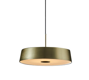 China LED Pendant Light