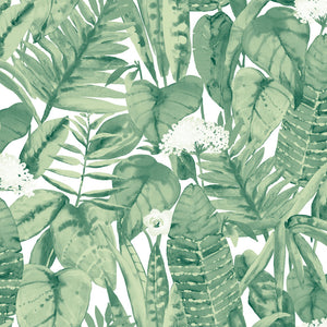 Tropical Removable Wallpaper