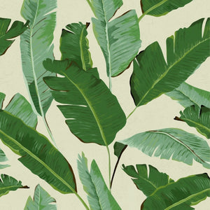 Banana Leaves Wallpaper Sample Swatch