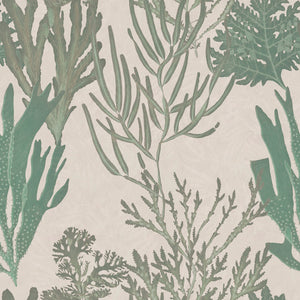 Light Corals Wallpaper Sample Swatch