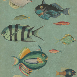 Poissons Wallpaper