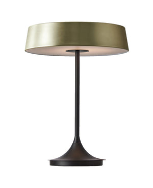 China LED Table Lamp