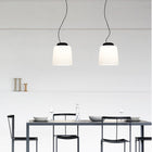 Teodora Glass Suspension Light